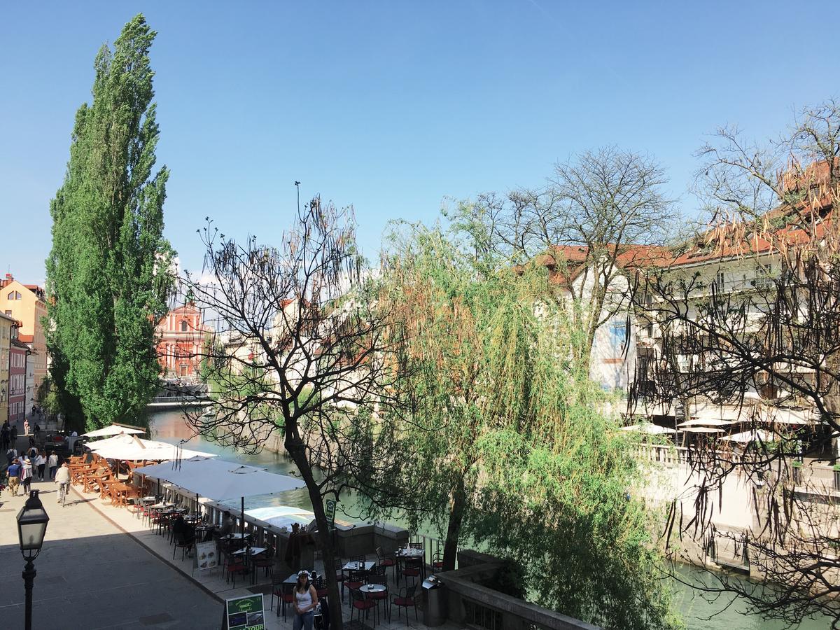 River And Castle View Apartment Rose Tour As Ljubljana Luaran gambar