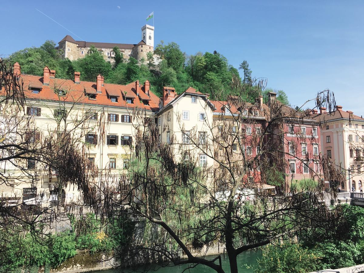 River And Castle View Apartment Rose Tour As Ljubljana Luaran gambar
